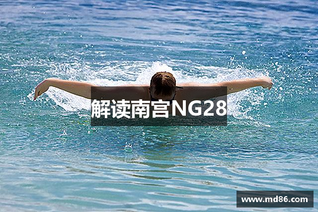 解读南宫NG28